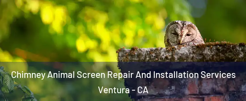  Chimney Animal Screen Repair And Installation Services Ventura - CA