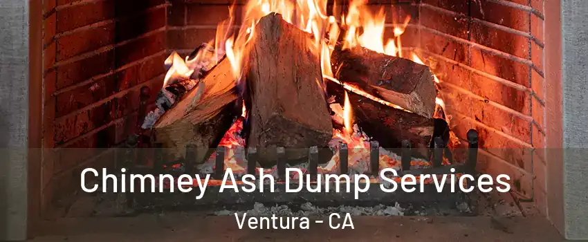  Chimney Ash Dump Services Ventura - CA
