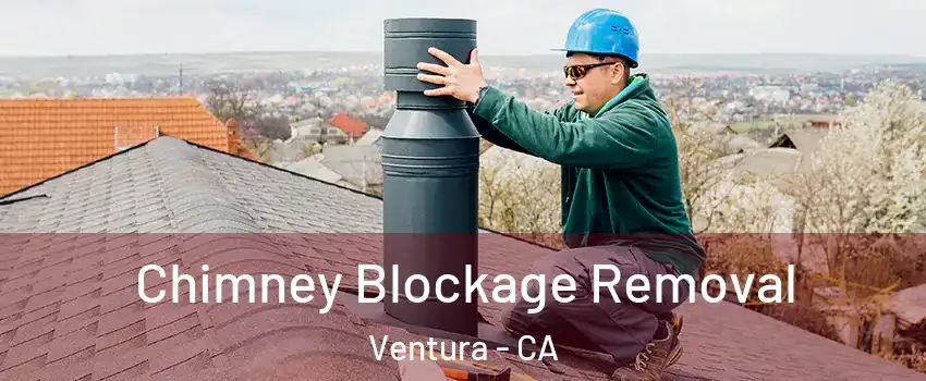  Chimney Blockage Removal Ventura - CA