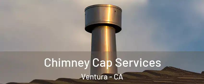  Chimney Cap Services Ventura - CA