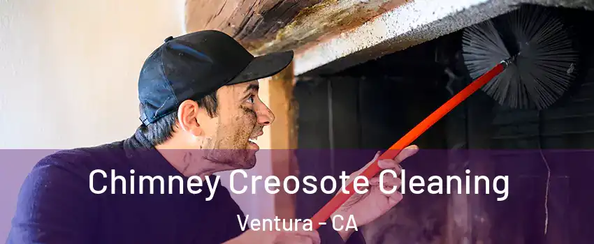  Chimney Creosote Cleaning Ventura - CA