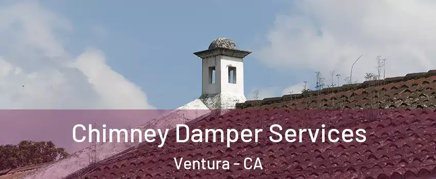  Chimney Damper Services Ventura - CA
