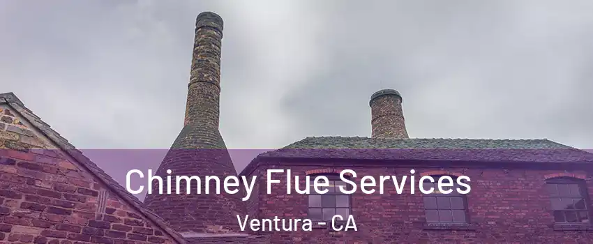  Chimney Flue Services Ventura - CA
