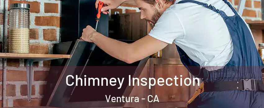  Chimney Inspection Ventura - CA