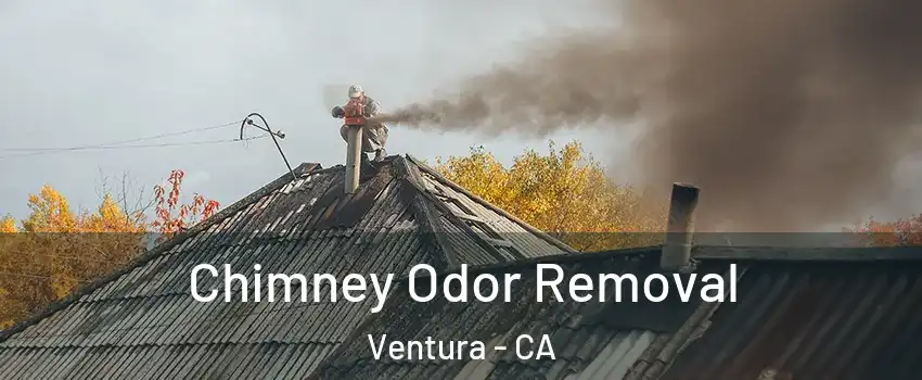  Chimney Odor Removal Ventura - CA