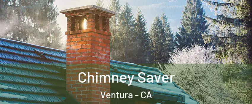  Chimney Saver Ventura - CA