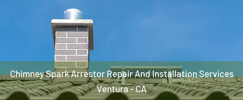  Chimney Spark Arrestor Repair And Installation Services Ventura - CA
