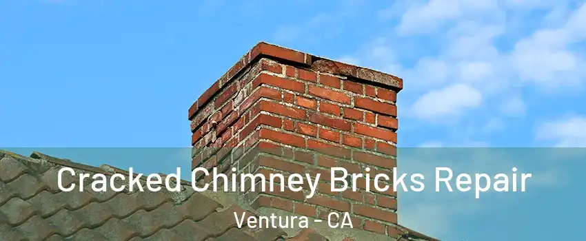  Cracked Chimney Bricks Repair Ventura - CA