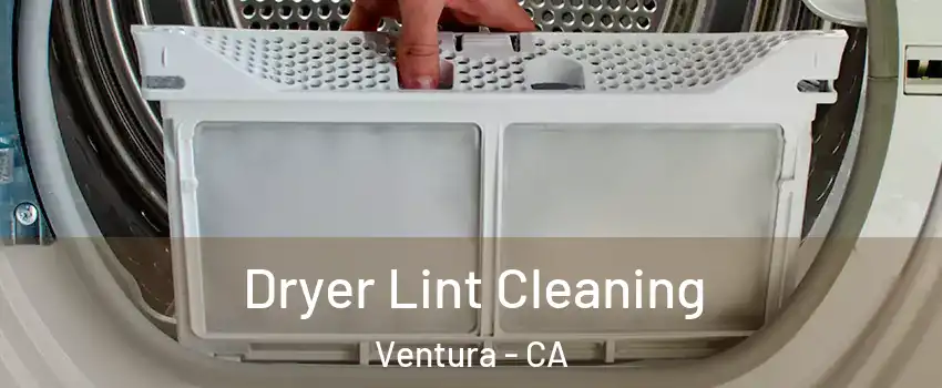  Dryer Lint Cleaning Ventura - CA