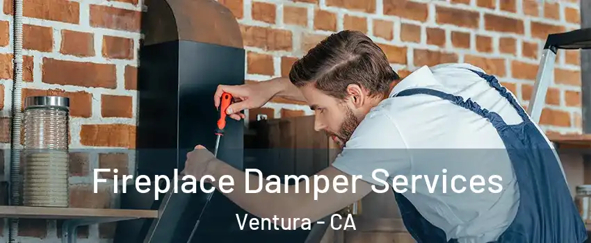  Fireplace Damper Services Ventura - CA