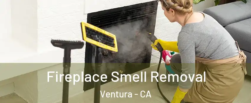  Fireplace Smell Removal Ventura - CA