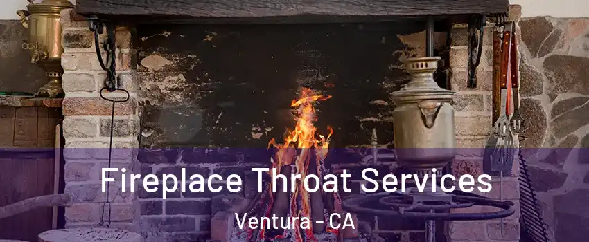  Fireplace Throat Services Ventura - CA