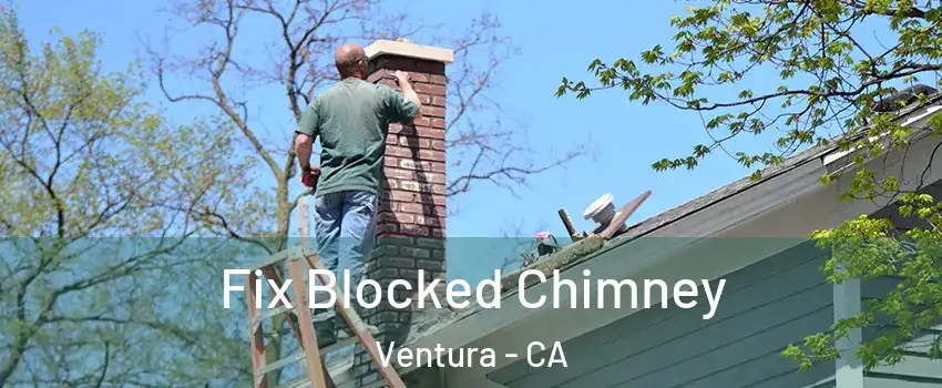  Fix Blocked Chimney Ventura - CA