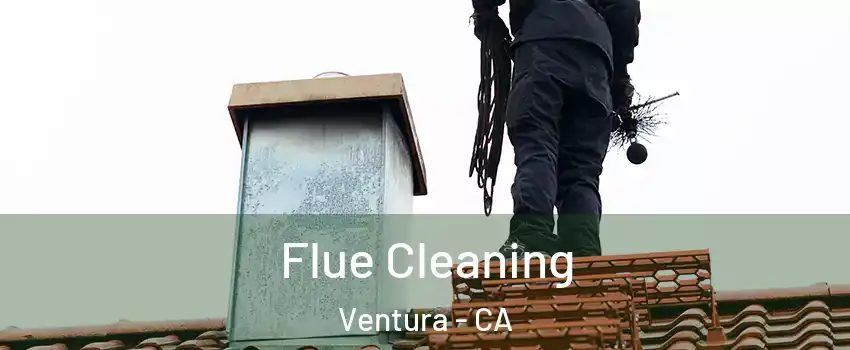  Flue Cleaning Ventura - CA