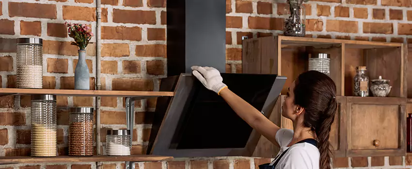 Chimney Installation in Ventura, CA