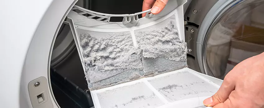 Best Dryer Lint Removal Company in Ventura, California