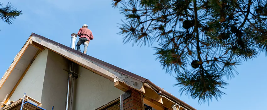 Birds Removal Contractors from Chimney in Ventura, CA