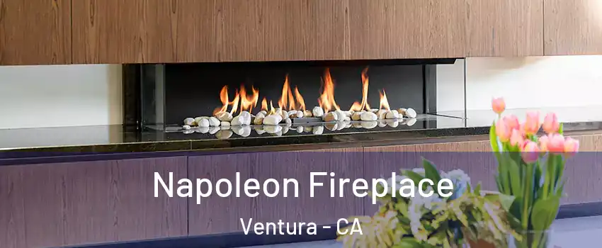  Napoleon Fireplace Ventura - CA