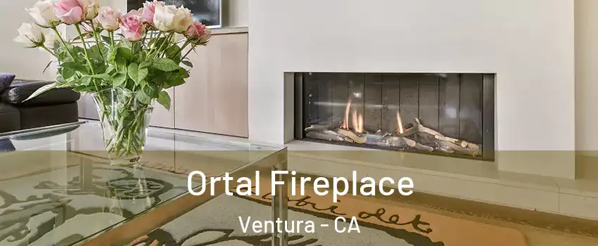  Ortal Fireplace Ventura - CA